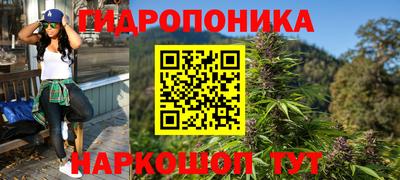 индика Гусь-Хрустальный