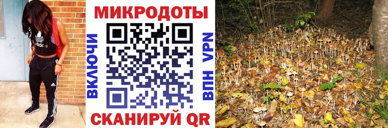 Псилоцибиновые грибы прущие грибы  Нижневартовск 