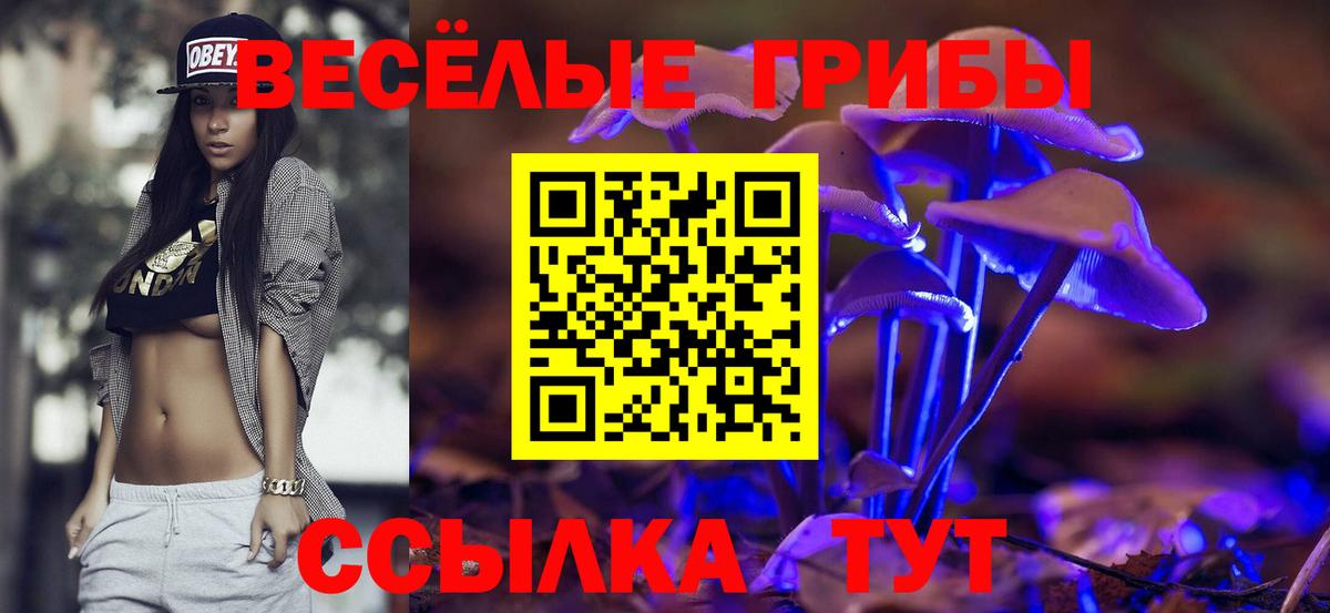 Псилоцибиновые грибы мицелий Нижневартовск